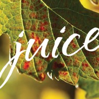 Juice Media logo, Juice Media contact details