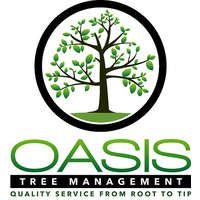 Oasis Tree Management logo, Oasis Tree Management contact details