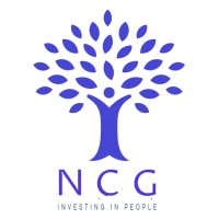 Noel Capital Group Inc. logo, Noel Capital Group Inc. contact details