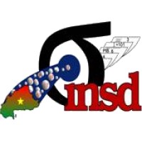 Insd Burkina logo, Insd Burkina contact details