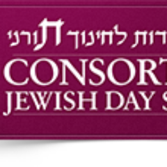 CONSORTIUM OF JEWISH DAY SCHOOLS INC logo, CONSORTIUM OF JEWISH DAY SCHOOLS INC contact details