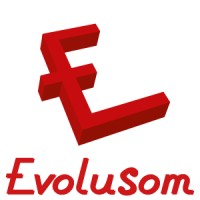 Evolusom Comercial logo, Evolusom Comercial contact details