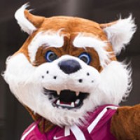 Willamette University Bearcat Chat logo, Willamette University Bearcat Chat contact details