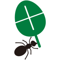 Ant Promo Limited logo, Ant Promo Limited contact details