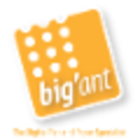 BIG'ant (M) Sdn Bhd logo, BIG'ant (M) Sdn Bhd contact details