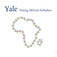 Yale Young African Scholars logo, Yale Young African Scholars contact details