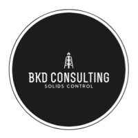 BKD Consulting LLC. logo, BKD Consulting LLC. contact details