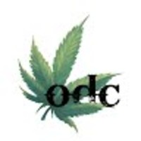 On Deck Cooperative, Inc logo, On Deck Cooperative, Inc contact details