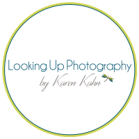 Looking Up Photography LLC logo, Looking Up Photography LLC contact details