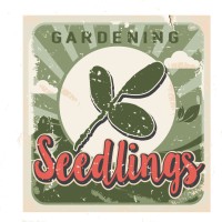 Seedlings Gardening logo, Seedlings Gardening contact details