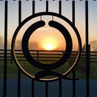 Quincey Cattle Co Inc logo, Quincey Cattle Co Inc contact details