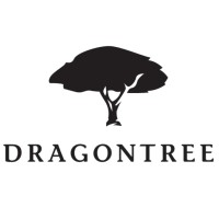 Dragon Tree Capital logo, Dragon Tree Capital contact details