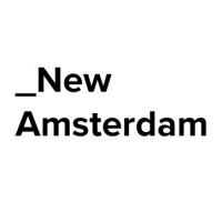 The New Amsterdam Group logo, The New Amsterdam Group contact details