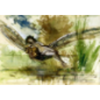 Literary Faerie Publishing logo, Literary Faerie Publishing contact details