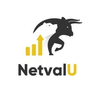 NetValue Ltd logo, NetValue Ltd contact details