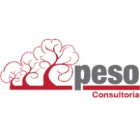 PESO Consultoría logo, PESO Consultoría contact details