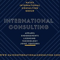 Hayes International Consulting Group logo, Hayes International Consulting Group contact details