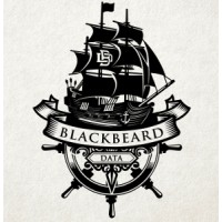 Blackbeard Data Services logo, Blackbeard Data Services contact details