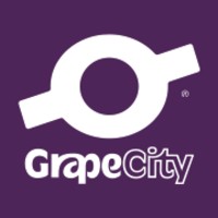 GrapeCity India Pvt. Ltd. logo, GrapeCity India Pvt. Ltd. contact details