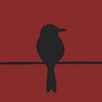 Blackbird Films logo, Blackbird Films contact details