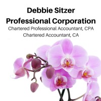 Debbie Sitzer Professional Corporation CPA, CA logo, Debbie Sitzer Professional Corporation CPA, CA contact details