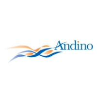 Andino Holdings USA LLC logo, Andino Holdings USA LLC contact details