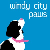 Windy City Paws LLC logo, Windy City Paws LLC contact details