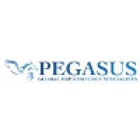 Pegasus ERP Solutions logo, Pegasus ERP Solutions contact details