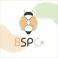 BSPC logo, BSPC contact details