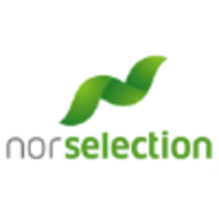 Nor Selection Rekruttering AS logo, Nor Selection Rekruttering AS contact details