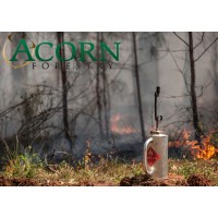 Acorn Forestry logo, Acorn Forestry contact details