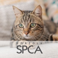 Norfolk SPCA logo, Norfolk SPCA contact details