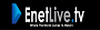 EnetLiveTV logo, EnetLiveTV contact details