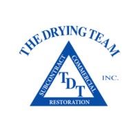 TDT - The Drying Team logo, TDT - The Drying Team contact details