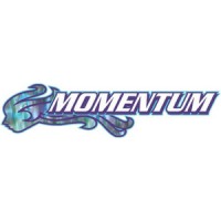 Momentum Tutoring logo, Momentum Tutoring contact details