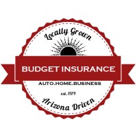 Budget Insurance Associates, Inc logo, Budget Insurance Associates, Inc contact details