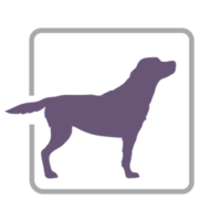 Purple Lab logo, Purple Lab contact details