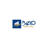 BIZKO CAPITAL LIMITED logo, BIZKO CAPITAL LIMITED contact details