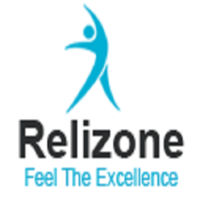 Relizone Pvt. Ltd logo, Relizone Pvt. Ltd contact details