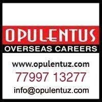 Opulentus India logo, Opulentus India contact details