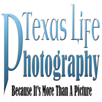 Texas Life Photography logo, Texas Life Photography contact details