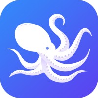 Octopus BI logo, Octopus BI contact details