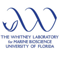 Whitney Marine Lab-University of Florida logo, Whitney Marine Lab-University of Florida contact details