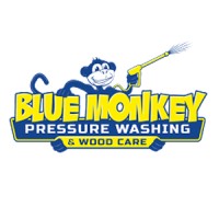 Blue Monkey Services logo, Blue Monkey Services contact details