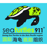 Sea Turtles 911 logo, Sea Turtles 911 contact details