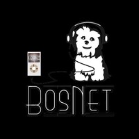 The BosNet Family LLC logo, The BosNet Family LLC contact details