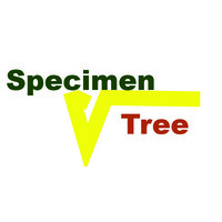 Specimen Tree logo, Specimen Tree contact details