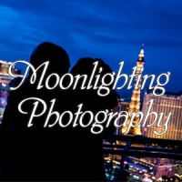 Moonlighting Photography logo, Moonlighting Photography contact details