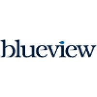 Blueview Group Ltd. logo, Blueview Group Ltd. contact details