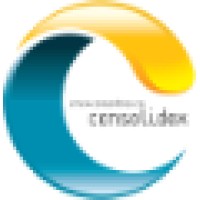 Consolidex Inc logo, Consolidex Inc contact details